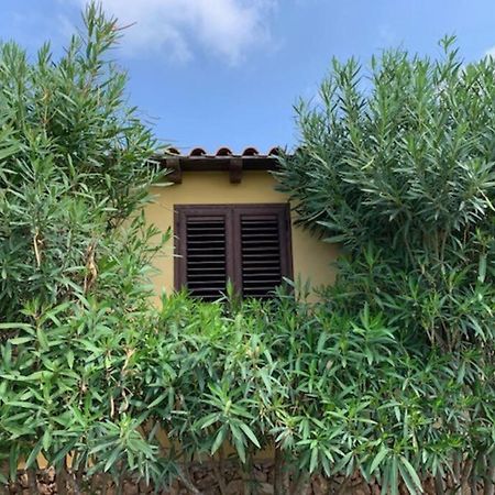 Villa Maveda, Un Dammuso Immerso Nel Verde Lampedusa Bagian luar foto
