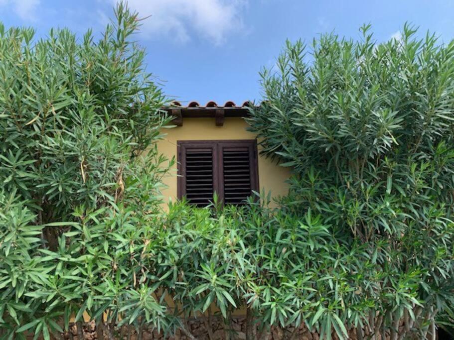 Villa Maveda, Un Dammuso Immerso Nel Verde Lampedusa Bagian luar foto