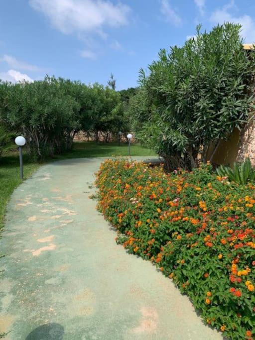 Villa Maveda, Un Dammuso Immerso Nel Verde Lampedusa Bagian luar foto