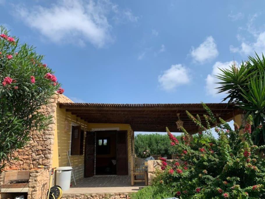 Villa Maveda, Un Dammuso Immerso Nel Verde Lampedusa Bagian luar foto